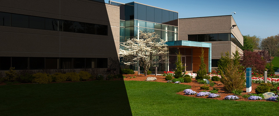 Dulles Landscapers