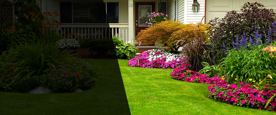 Dulles Landscapers