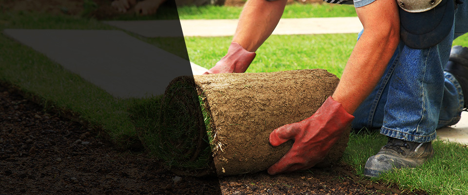 Dulles Landscapers
